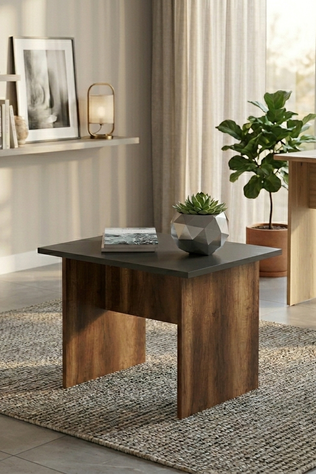 Vario B Ofis Sehpası Barok-Antrasit VO2-BA