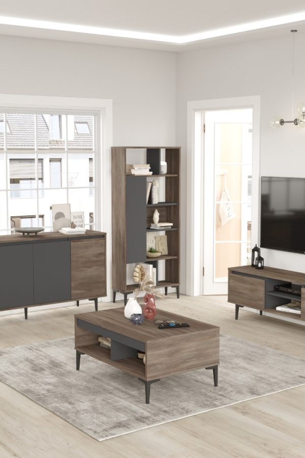 Aristo Tv Ünitesi Orta Sehpa Konsol Kitaplık 4'Lü Set Kahve-Antrasit AR14-CA