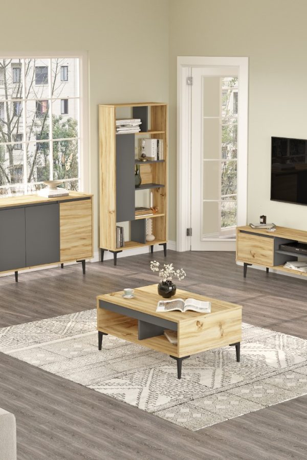 Aristo Tv Ünitesi Orta Sehpa Konsol Kitaplık 4'Lü Set Keçe-Antrasit AR14-KA