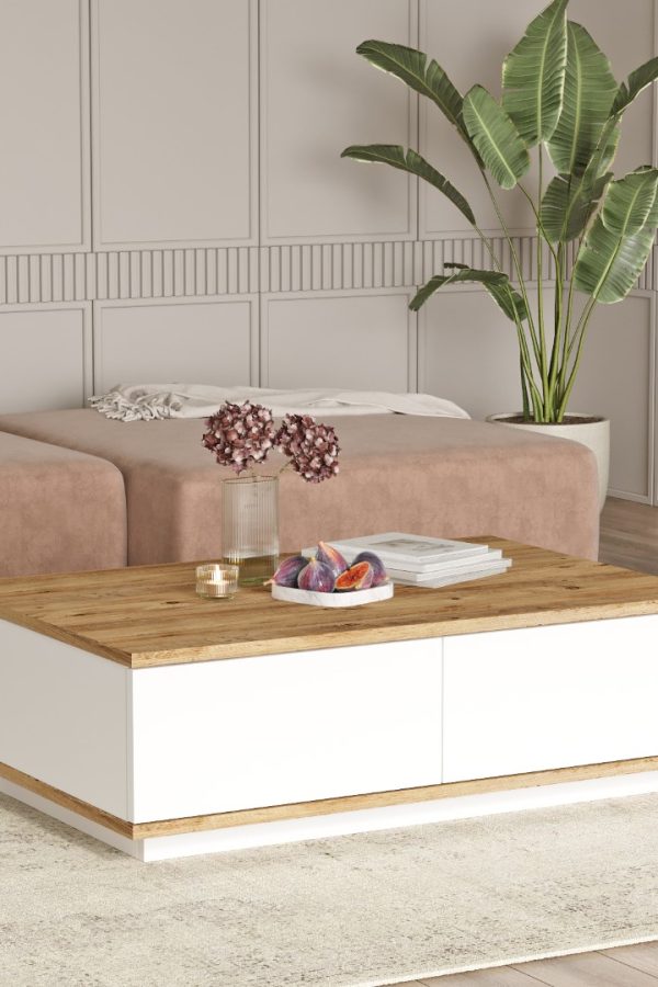 Future Orta Sehpa 2 Kapaklı Çam-Beyaz FR14-AW