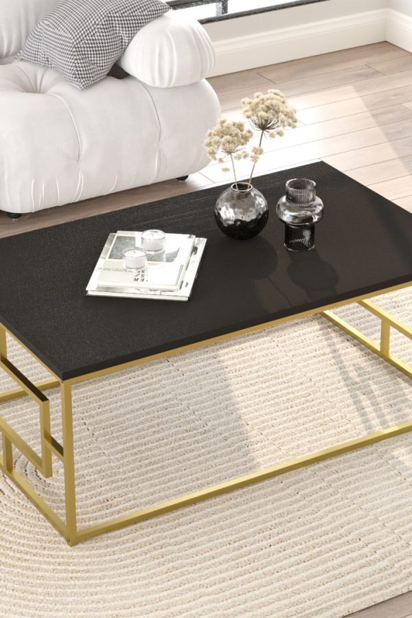 Voyage Gold Metal Orta Sehpa Siyah VG12-LB