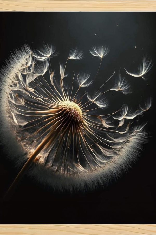 Frame Serisi Ahşap Çerçeveli 2'Li Tablo Uv Baskı 33*40 FE5-M