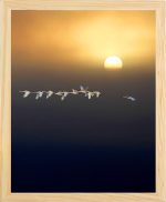 Frame Ahşap 2'Li Tablo FE5-N