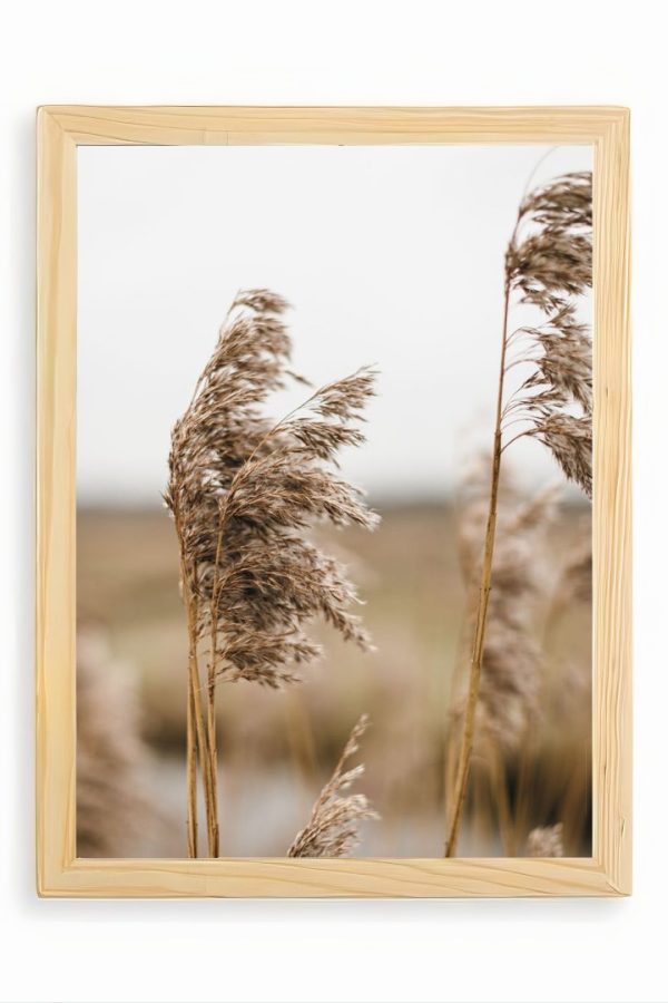 Frame Serisi Ahşap Çerçeveli 3'Lü Tablo Uv Baskı 25*35 FE3-C