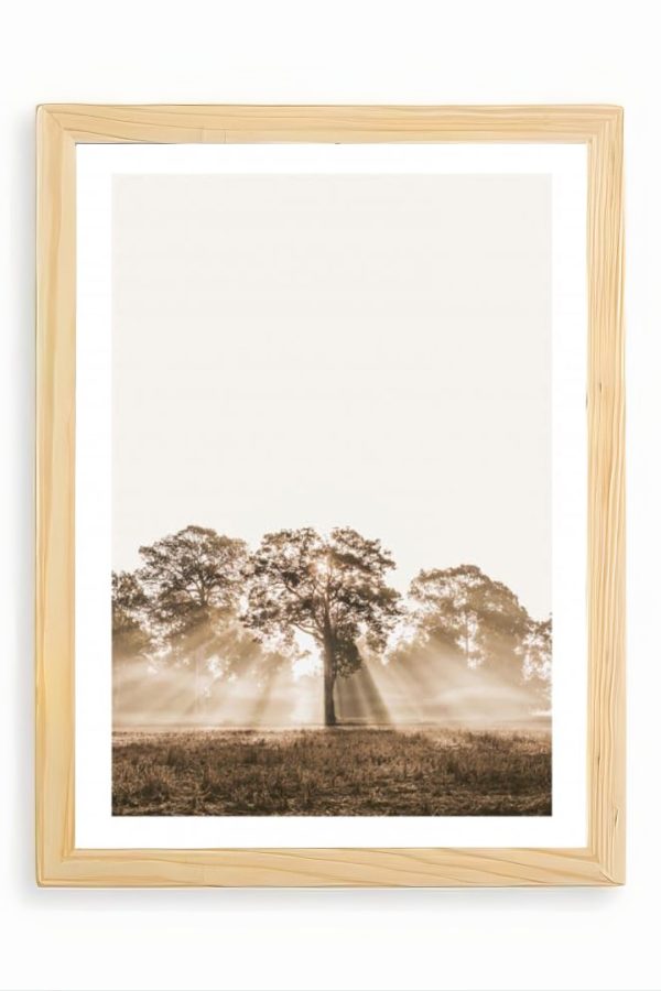 Frame Serisi Ahşap Çerçeveli Tablo Uv Baskı 25*35 FE1-F