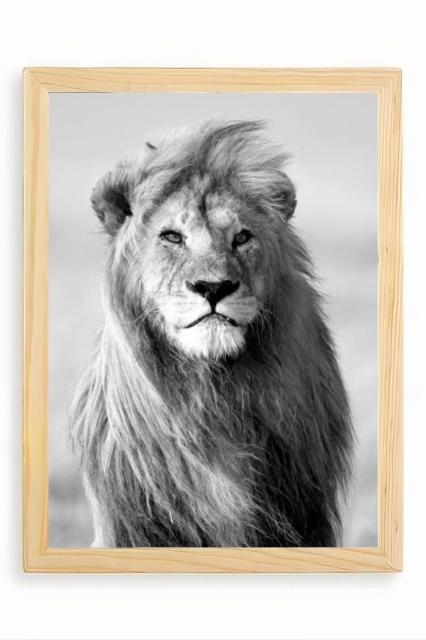 Frame Serisi Ahşap Çerçeveli Tablo Uv Baskı 25*35 FE1-N