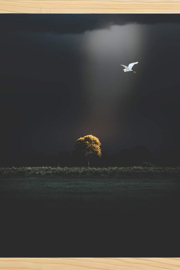 Frame Serisi Ahşap Çerçeveli Tablo Uv Baskı 33*40 FE4-B