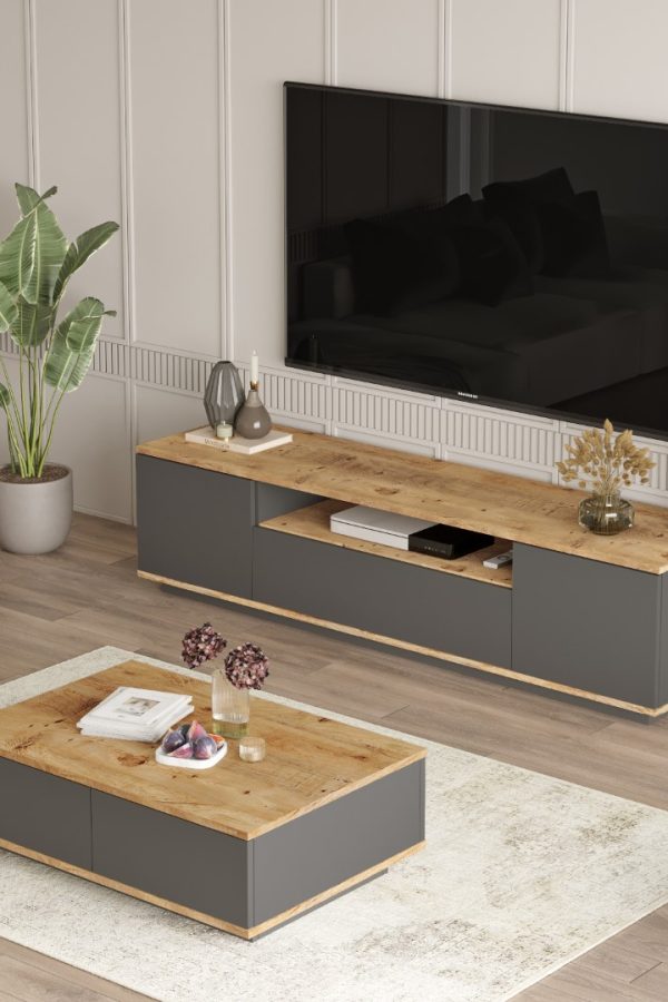 Future Tv Ünitesi Orta Sehpa 2'Li Set Çam-Antrasit FR17-AA