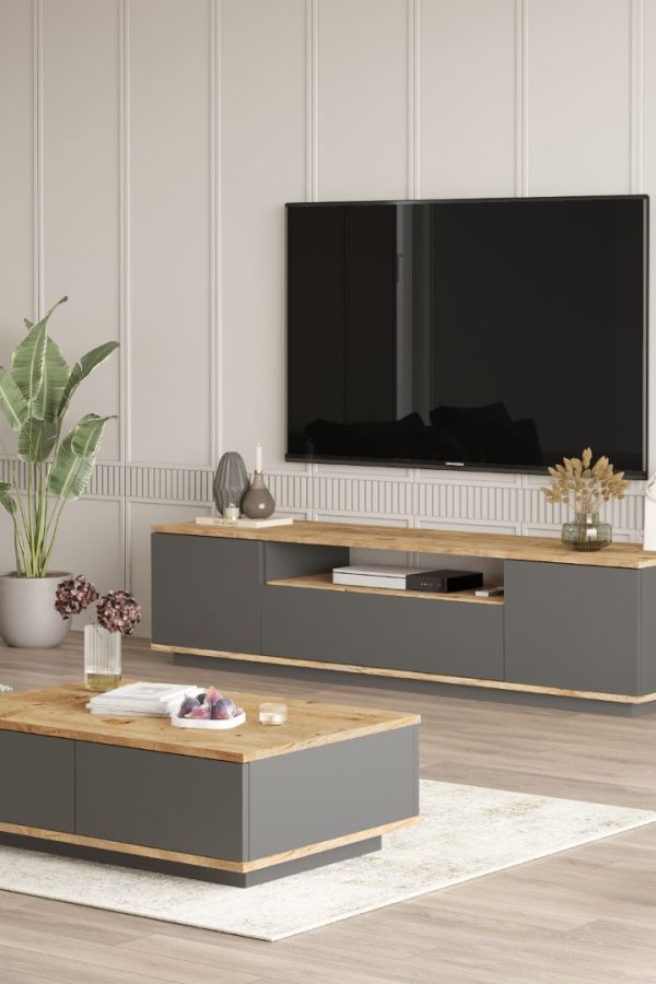 Future Tv Ünitesi Orta Sehpa 2'Li Set Çam-Antrasit FR17-AA