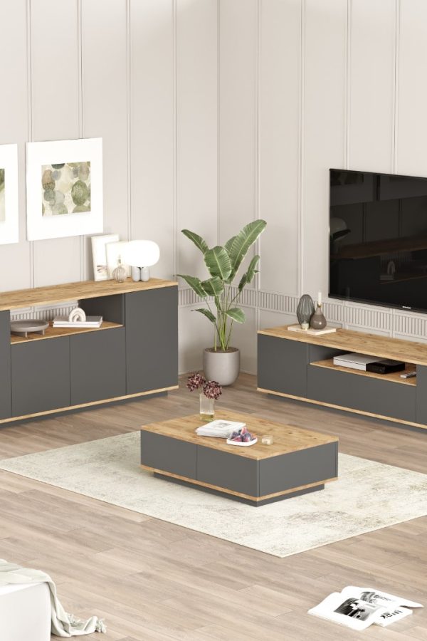 Future Tv Ünitesi Orta Sehpa Konsol 3'Lü Set Çam-Antrasit FR18-AA