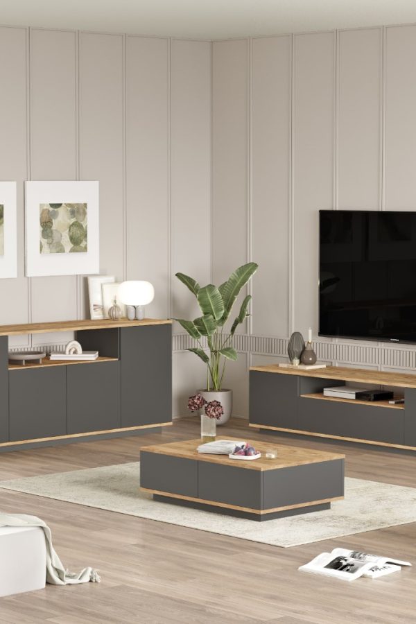 Future Tv Ünitesi Orta Sehpa Konsol 3'Lü Set Çam-Antrasit FR18-AA