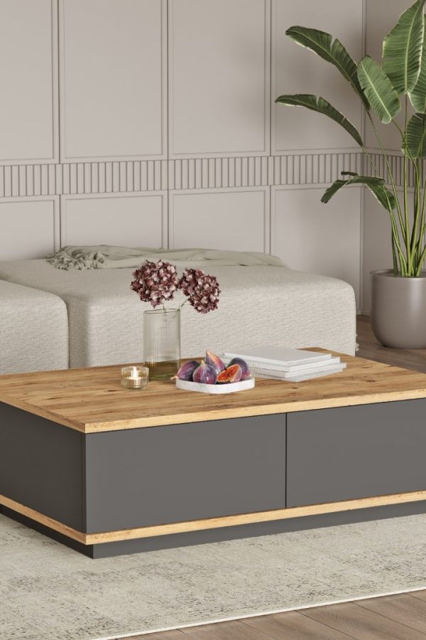 Future Orta Sehpa 2 Kapaklı Çam-Antrasit FR14-AA