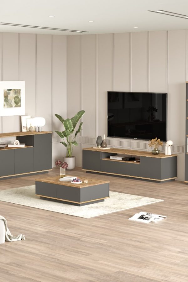 Future Tv Ünitesi Orta Sehpa Konsol Kitaplık 4'Lü Set Çam-Antrasit FR19-AA