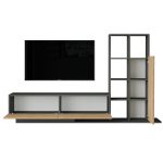 Blaze Tv Ünitesi BE1-SA