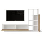 Blaze Tv Ünitesi BE1-SW