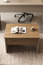 Alva 72x52 cm Ofis Sehpası Orta Sehpa Sepet-Kumsal AL2-COS