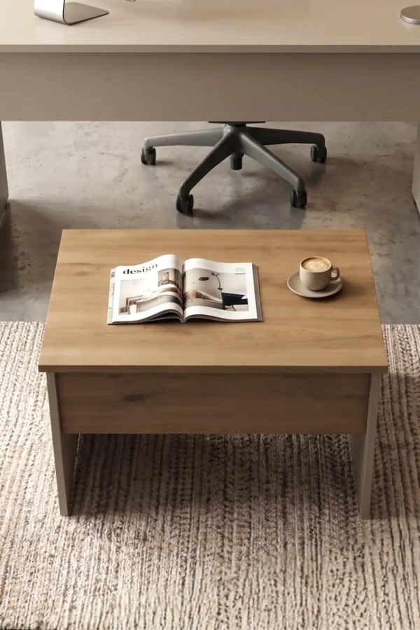 Alva 72x52 cm Ofis Sehpası Orta Sehpa Sepet-Kumsal AL2-COS
